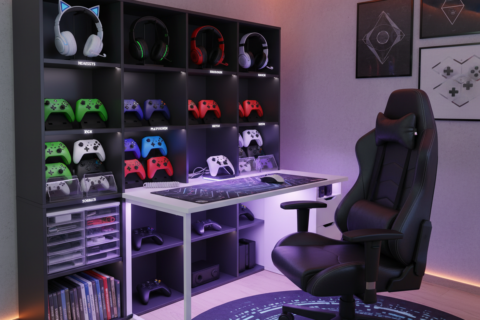 gaming accessory storage